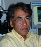 Toshihiko Ogura (Molecular Biology)