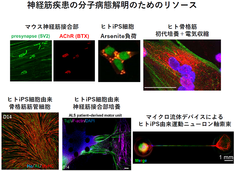写真3
