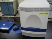 7500 Real-Time PCR Systems