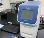 StepOnePlus Real-Time PCR System