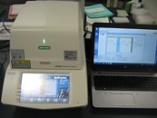 CFX96 Real-Time PCR Detection System