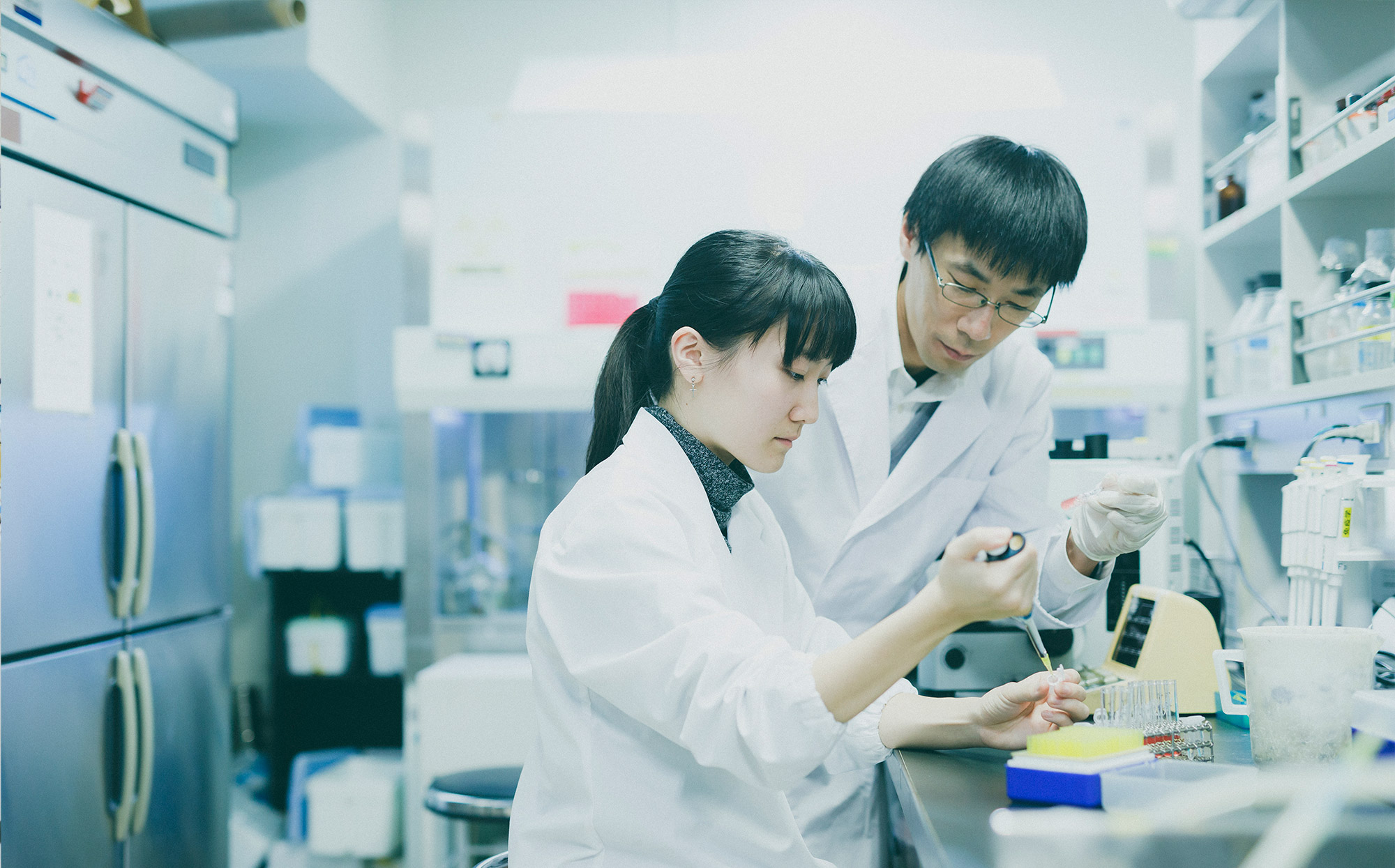 東北大学大学院医学系研究科 医学部 東北大学大学院医学系研究科 医学部