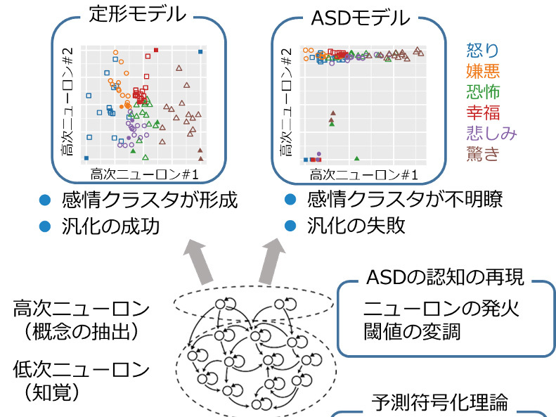 東北大学大学院医学系研究科 医学部