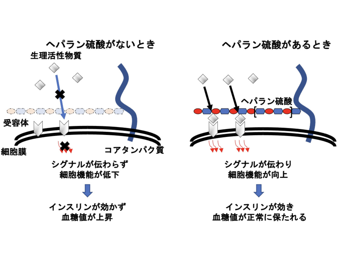 東北大学【オープン講義】芳賀 洋一「マイクロシステムを用いた