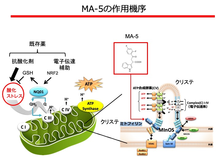 【2024年最新】海外限定の人気アイテム 東北大学大学院医学系研究科・医学部 語学+参考書